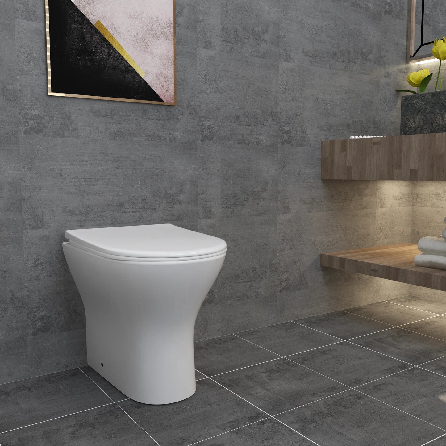 Modern Back To Wall Toilet Short Projection Soft Close Seat Bathroom WC