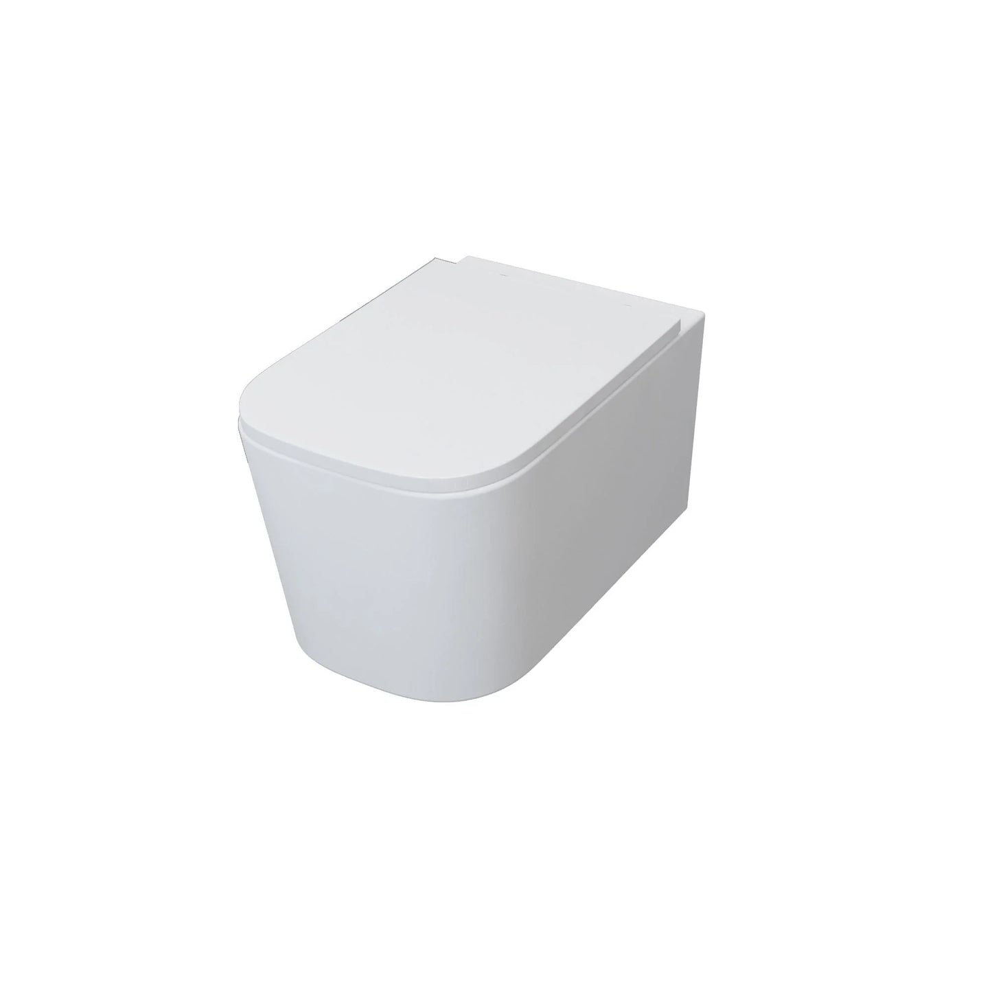 Bathroom Rimless Wall Hung Toilet Soft Close Seat (UF) Pan WC